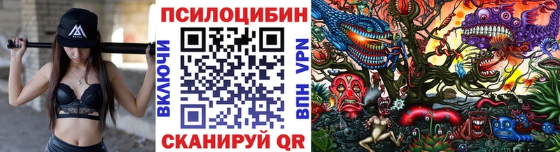 Купить  Волжск  Галлюциногенные грибы мухоморы 